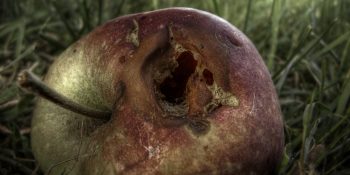 adam-s-apple-1161808-1278x717